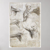 Da Vinci, LEONARDO - Studie der Anatomie Plakate