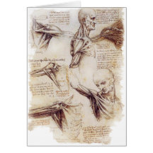 da Vinci -- Schulter-Skizze Karten