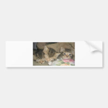 DaBoys Autosticker