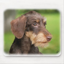 Dackel 9Y426D-124 Mousepads
