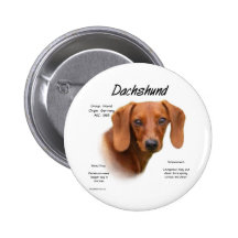 Dackel-(glatter) Geschichtsentwurf Anstecknadelbuttons
