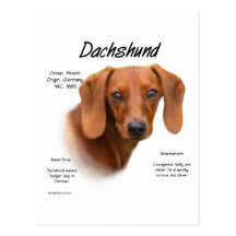 Dackel-(glatter) Geschichtsentwurf Postkarte