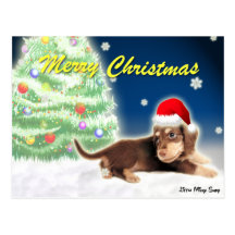 Dackel-Weihnachtsbaum-Postkarte
