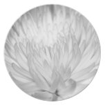 Dahlie-Blume und -bedeutung Party Teller