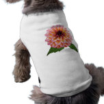 Dahlie-Foxy Dame Haustierbekleidung
