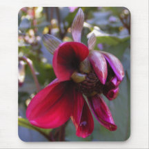 Dahlie-Knospe 19 ~ mousepad