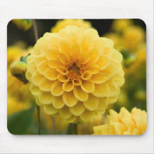 Dahlie Mousepad