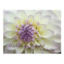 Dahlie • Save-the-Date-Postkarte