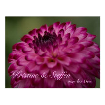 Dahlie • Save-the-Date-Postkarte