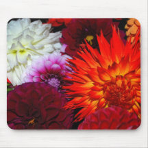 Dahlien Mousepads