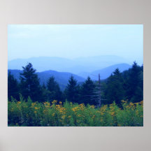 DaisyField Plakate