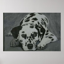 Dalmatinischer Hund Poster