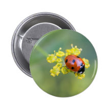 Dame auf die Oberseite Buttons
