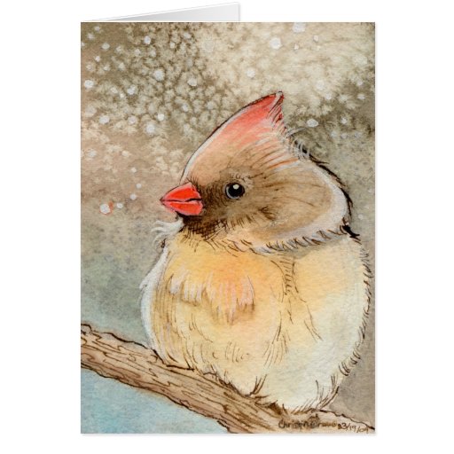 Dame Winter Cardinal Grußkarte