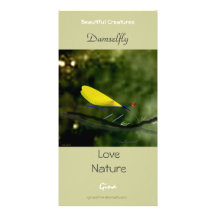 Damselfly Individuelle Foto Karte