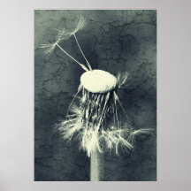 Dandelion Art Posters