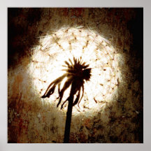 Dandelion Art  - Pusteblume Kunst Plakatdruck