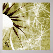 Dandelion Art  - Pusteblume Kunst Poster