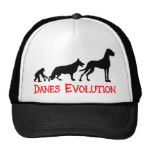 Däne-Evolution Baseballmütze