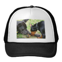 Däne und Dobermann Baseballmützen