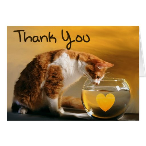 Danke Katze Mitteilungskarte Zazzle