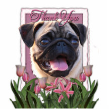 Danke - rosa Tulpen - Mops Foto Ausschnitte