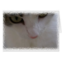 Danken Sie Mew Karte