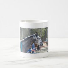 dapple graues Pferd Tee Tassen