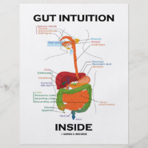 Darm-Intuitions-Innere (Verdauungssystem-Spaß) Bedruckte Flyer