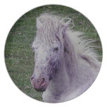 Dartmoor graues Pony-Stuten-Stillstehen teller