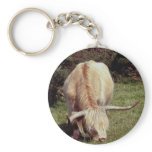 Dartmoor Hiohland Kuh Grazeing im Stechginster schlüsselanhänger