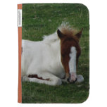 Dartmoor Hügel-Pony-Fohlen-Stillstehen caseable hüllen