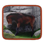 Dartmoor Pony-Fohlen an den Knochen-Hügel-Felsen ipad sleeves