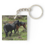 Dartmoor Ponys, die Grazeing Sommer durchstreifen schlüsselanhänger