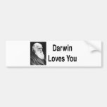 Darwin-Lieben Sie 2 Auto Aufkleber