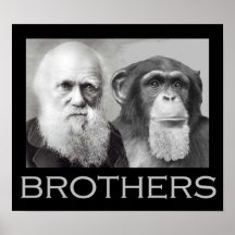 Darwin- und Schimpanse-Brüder Posterdruck