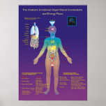Das Chakra Organ/die Drüse und der Energie-Fluss Posterdrucke