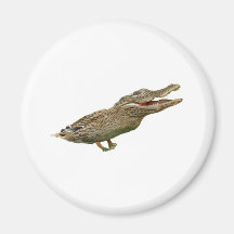 Das Crocoduck Kühlschrankmagnete