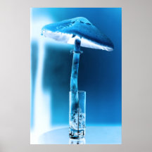 Das flippige Licht der Natur Poster