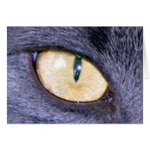 Das Katzenauge Grußkarte