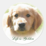 Das Leben ist golden Aufkleber
