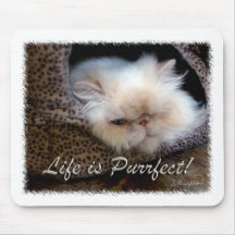 Das Leben ist Purrfect Mousepad