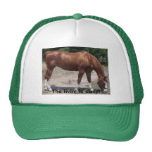 Das livin ist einfach! trucker cap