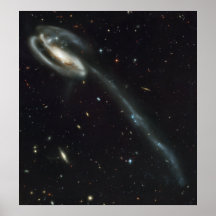 Das tadpole-Galaxie verzerrte Opfer Plakat