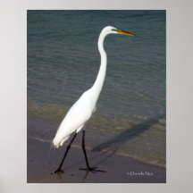 Das weiße Reiher-Plakat