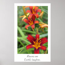 Daylilies Plakate