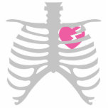 Defektes Herz in Ribcage Foto Ausschnitt