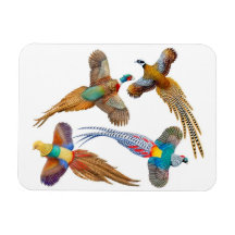 Dekorativer wilder Fasan-Vogel-Prämien-Magnet