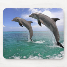 Delfin, Dauphin, groberes Tuemmler, Tursiops 4 Mauspad