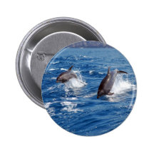 Delphin-Abenteuer Anstecknadel